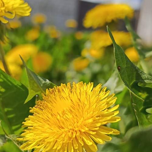 Photo #12344606