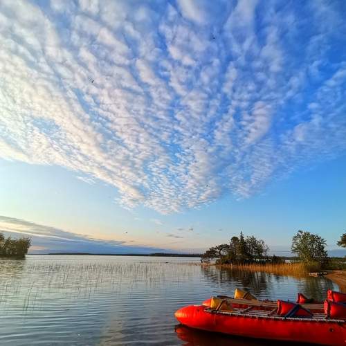 Photo #12344635