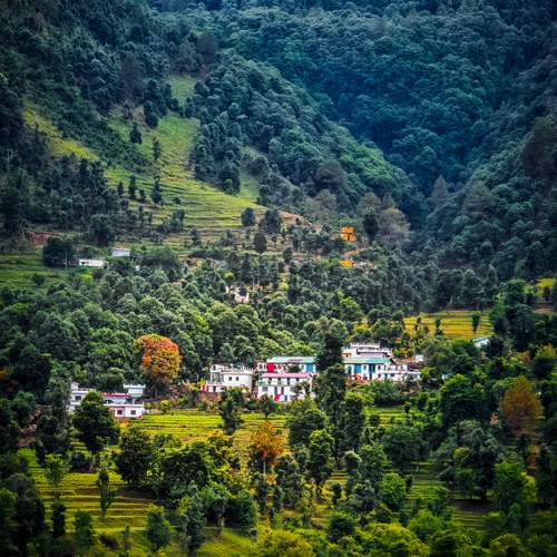 Photo #12346103