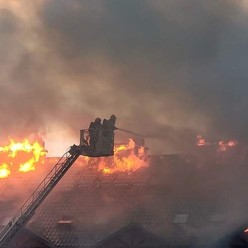 Photo #12346163