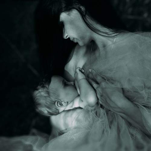 Photo #12346211