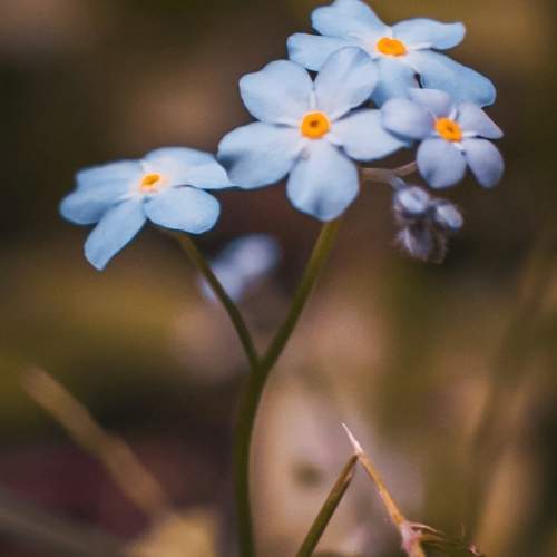 Photo #12346247