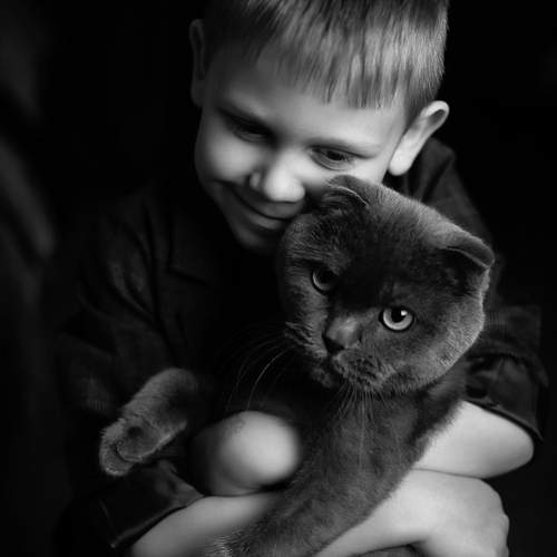 Photo #12346353