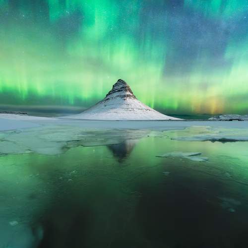 Photo #12347160