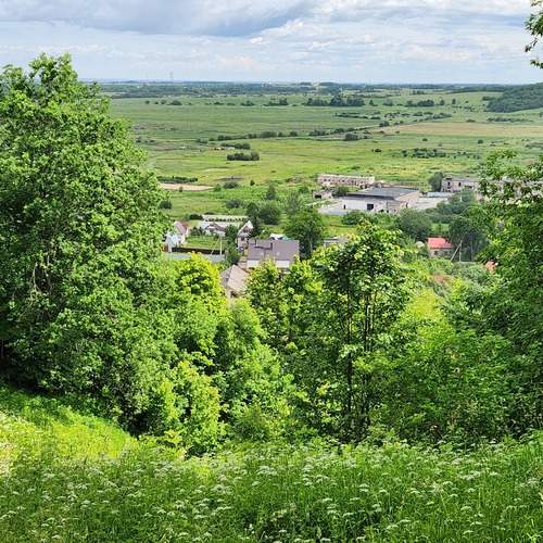 Photo #12347188