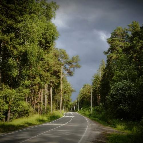 Photo #12347513