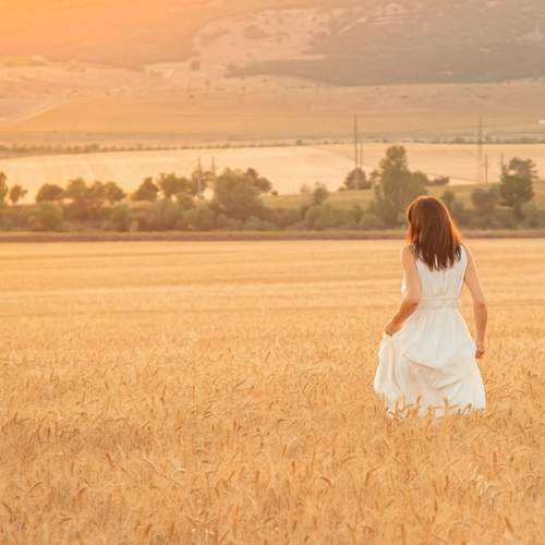 Photo #12347697