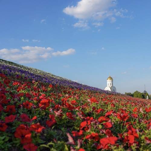 Photo #12347803