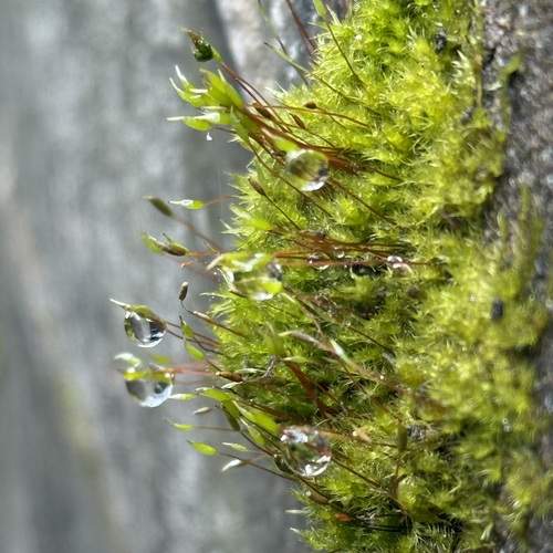 Photo #12348032