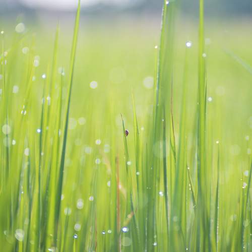 Photo #12348293