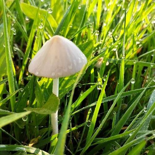 Photo #12348552