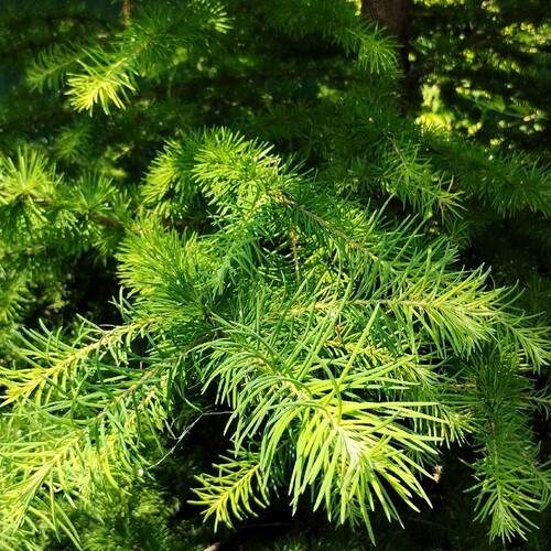 Photo #12348574