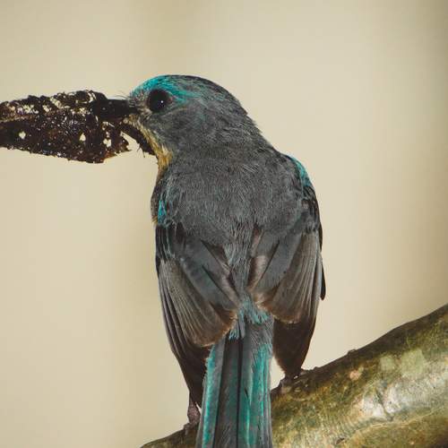 Photo #12348773