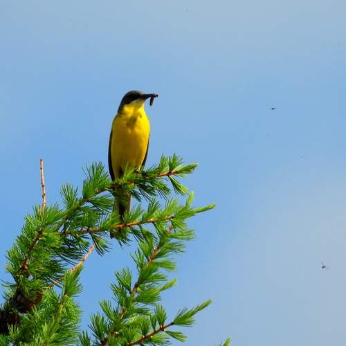 Photo #12349075