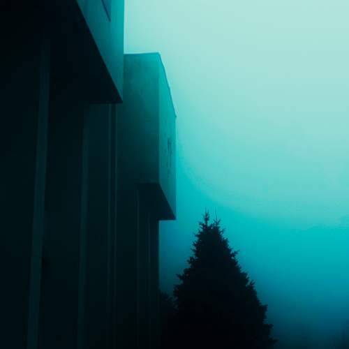 Photo #12349202