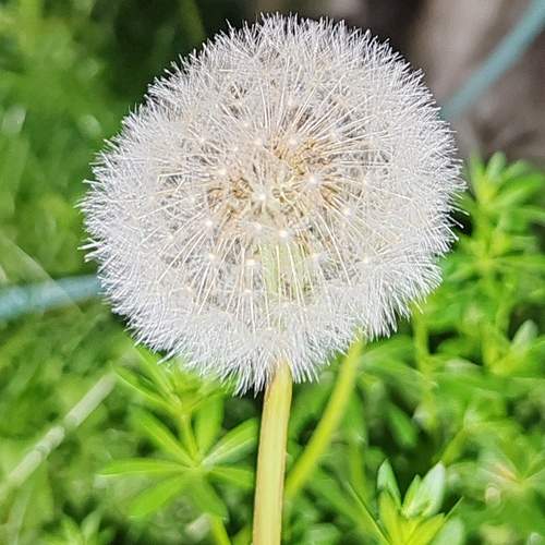 Photo #12349533