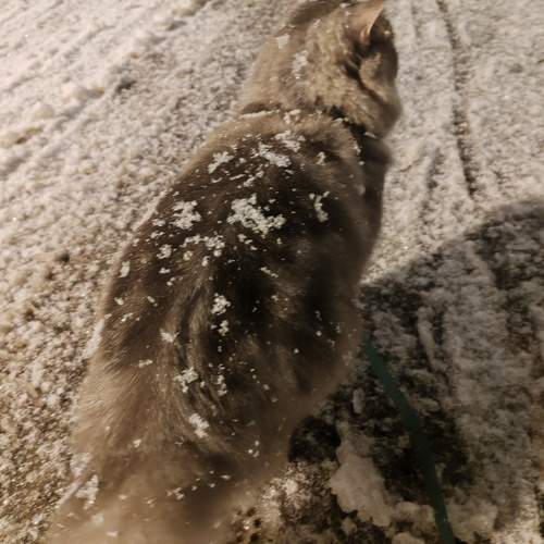 Photo #12349558