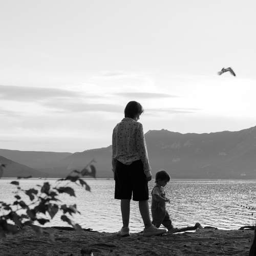 Photo #12349561