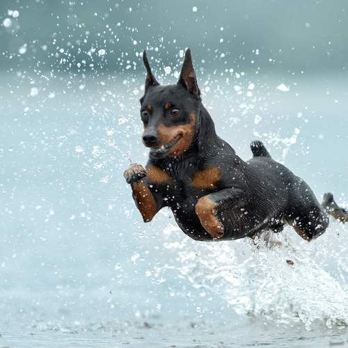 Photo #12350514