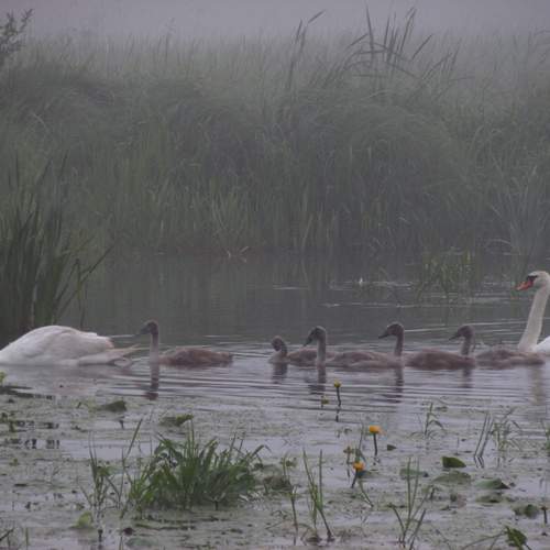 Photo #12350613