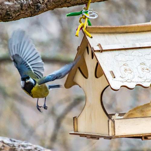 Photo #12350806