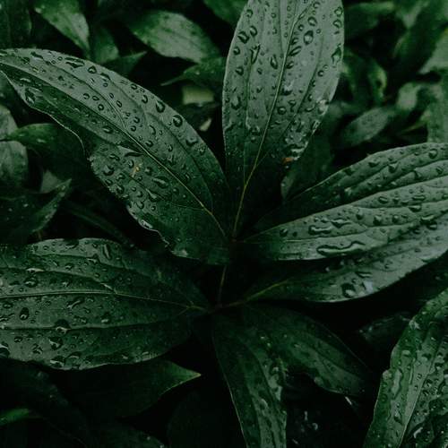 Photo #12350947