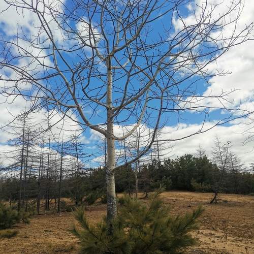 Photo #12350982