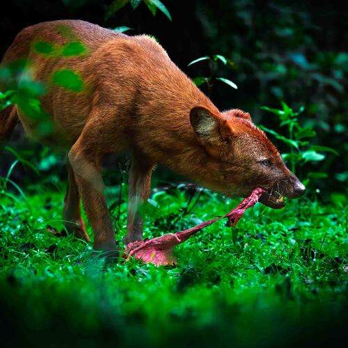 Photo #12351089