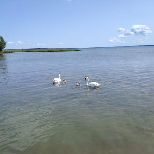 Photo #12351497