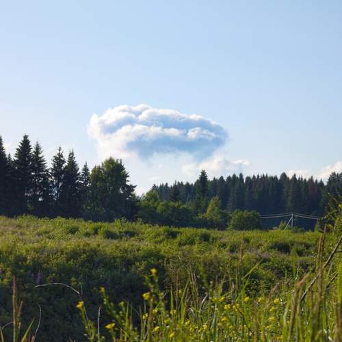 Photo #12351850