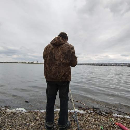 Photo #12351891