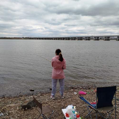 Photo #12351897