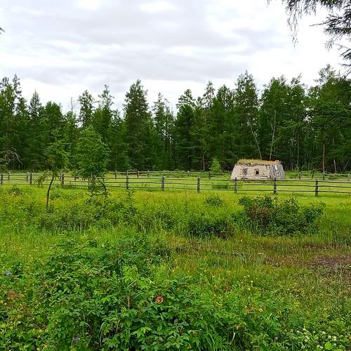 Photo #12351956