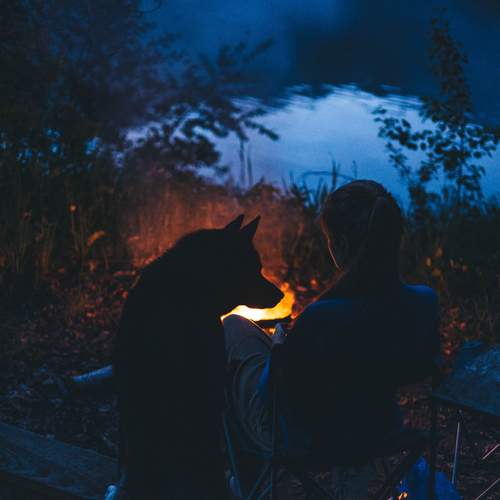 Photo #12352276