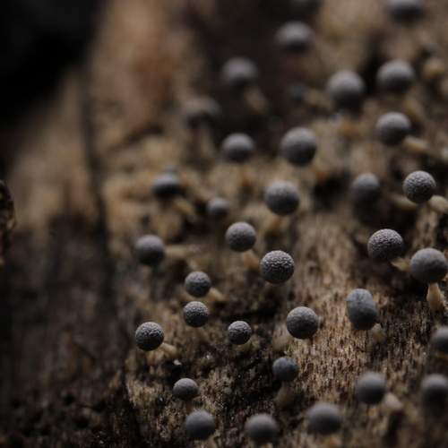 Photo #12352318