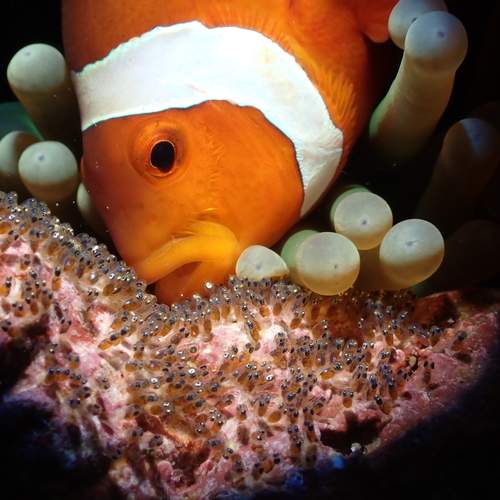 Photo #12352459
