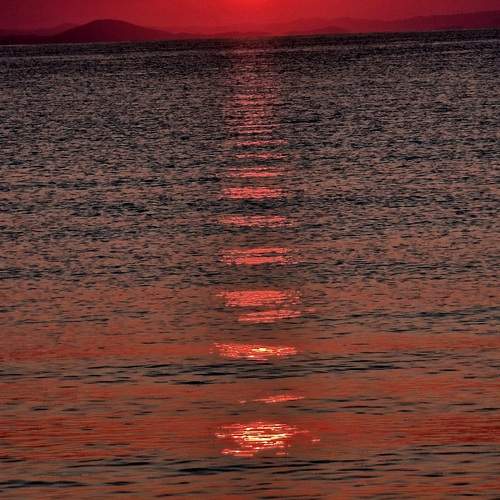 Photo #12353102