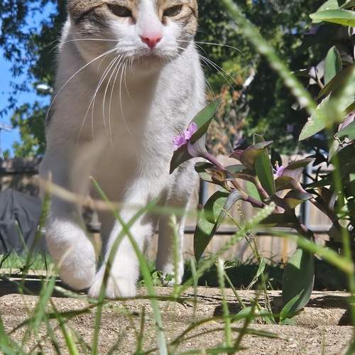Photo #12353249