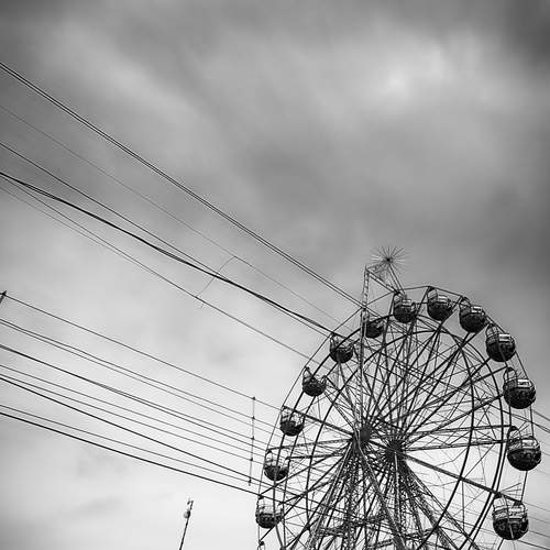Photo #12353619