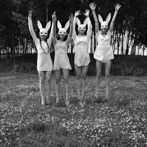 Photo #12353690