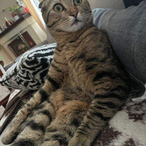 Photo #12353768
