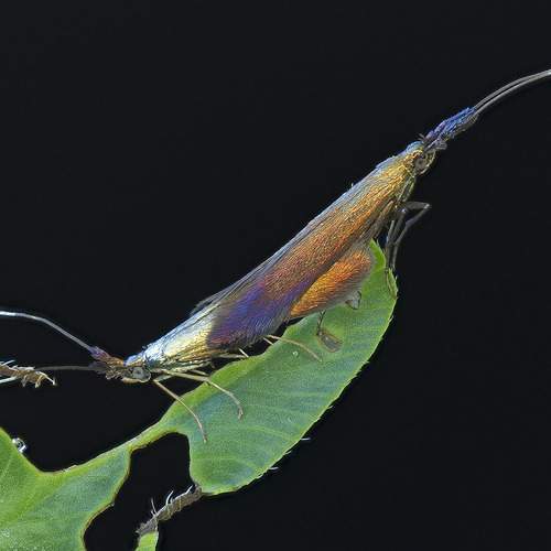 Фотография #12353943