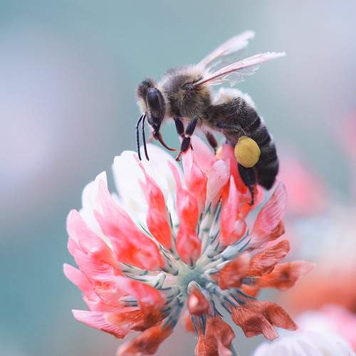 Фотография #12354112