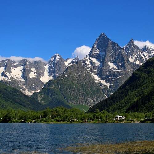 Photo #12354505