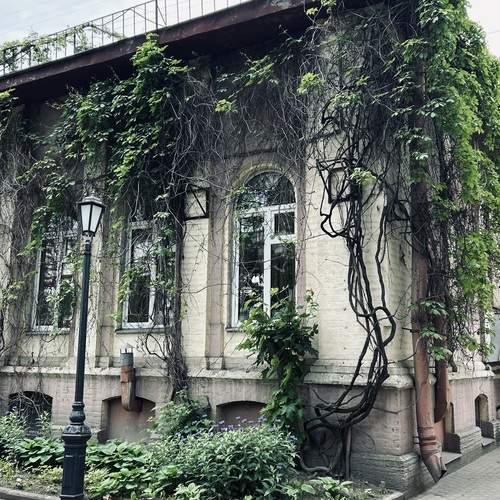 Photo #12354608