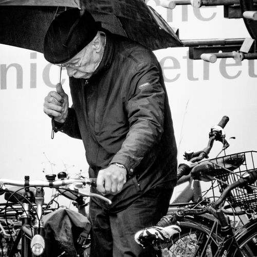 Rainy Day