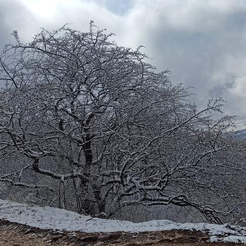 Photo #12354907