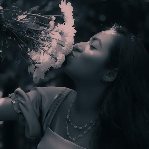 Photo #12354982