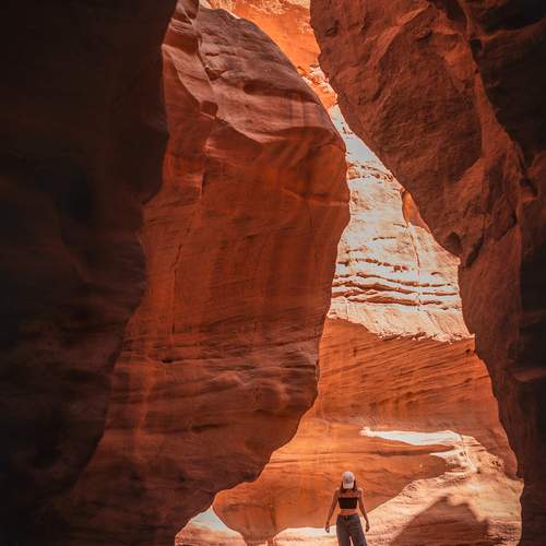 Photo #12355029