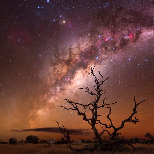 Reaching for the Stars